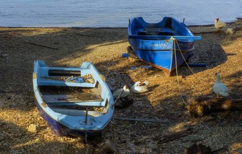 Приют для водоплавающих / Старые брошенные лодки.