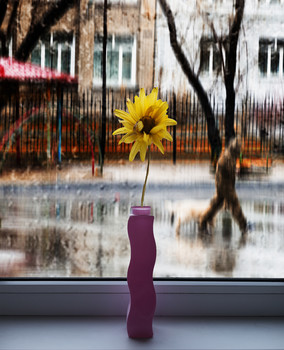 Призраки весны / дождливый май