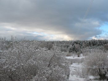Призраки весны / в мае месяце. Новосибирск.