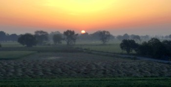Восход солнца в тумане / Восход солнца в тумане по дороге в Агру