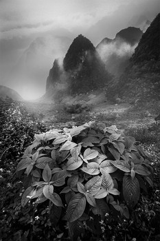 Тихий и спокойный Вьетнам...) / Вьетнам 2018. Накануне новой фотоэкспедиции.
https://mikhaliuk.com/China-Phototour-Journey-Landscapes-of-Guilin/