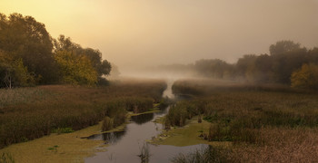 Утро туманное / утро,река,туман