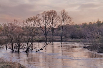 Половодье. / Томская область.