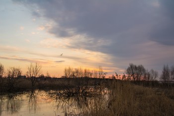 апрельский рассвет / ***