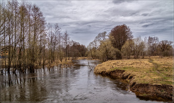 Середина Весны / 14 марта 2019, река Дрезна, восток Подмосковья.