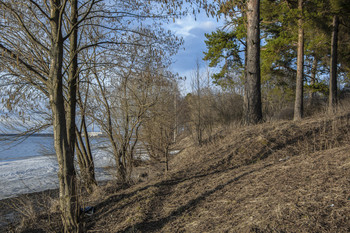 "Набережная". / Конаково, берег Волги, весна