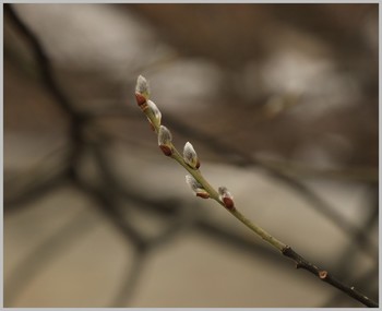 Предвкушение / ***