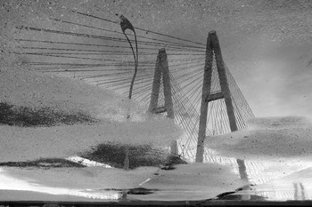 Струны моста, как струны души... / г.Санкт_Петербург