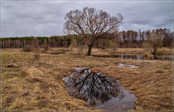 Середина Весны 3 / 14 марта 2019, река Дрезна, восток Подмосковья.