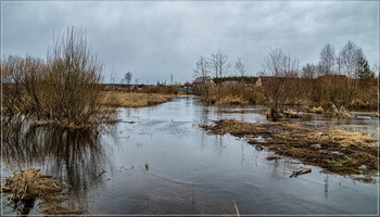 Середина Весны 4 / 14 марта 2019, река Дрезна, восток Подмосковья.