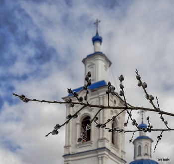 Вербное воскресенье / Поздравляю всех с праздником!