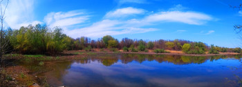 ОЗЕРО В ЛЕСУ / Панорама лесного озера на Городском острове.