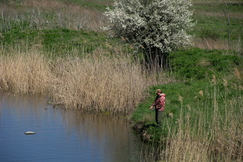 Рыбак - любитель... / Не клюёт...
