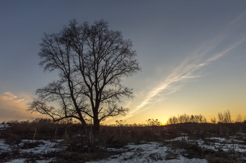 На исходе дня / Апрель