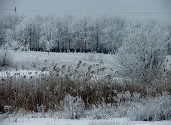 Ещё раз о зиме / ***