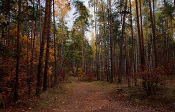 Отрывочное воспоминание / ...