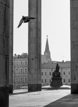 ... Зато я умею летать! ... / "Я самый ненужный, я гадость, я дрянь. Зато я умею летать!" (Петр Мамонов)