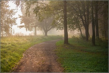 Утро в парке / ***
