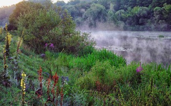 на берегу реки / Утро на берегу реки Южный Буг