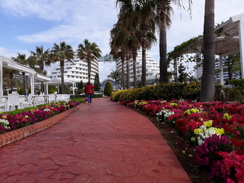 Дорога из "красного кирпича" / Дорога из "красного кирпича"