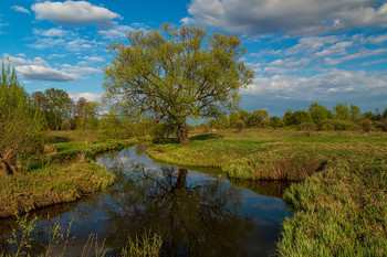 Весенний вечер / 04 мая 2019 года