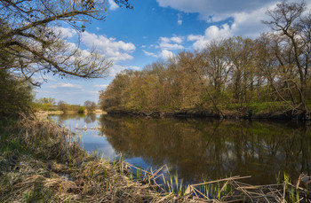 Апрельская зарисовка / Река Северский Донец. Весна 2019.