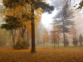 Осень вспоминая / Осенний парк