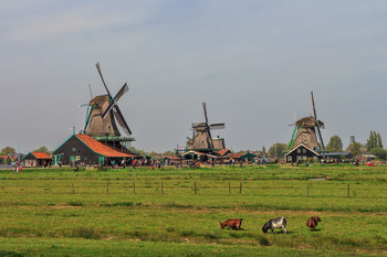 Заансе Сханс / Заансе Сханс – небольшая голландская деревушка на реке Заан, находящаяся в 25 км от Амстердама, в которой до сих пор соблюдаются все старинные традиции и обычаи страны