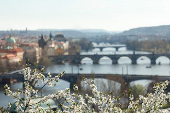 Весна / Весна в Праге