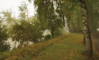 Туман осенний / На озере . Осенний пейзаж.
