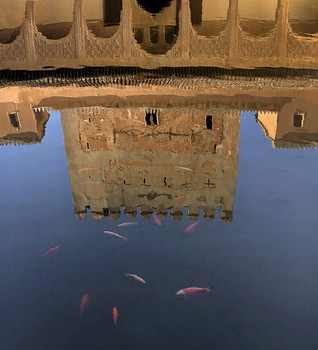 Замок с рыбками / отражение