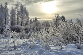Трасса Минск - Москва / ***