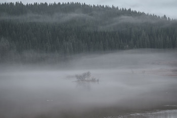 Туманный островок / Разлив на речке Кусья. Пермский край.