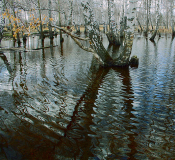 Вода,вода... / ***