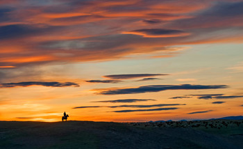 Монголия. / Всадник на фоне закатного неба.