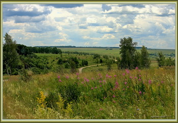 Непопулярное место / спуск к Щучьему.....Тульская область...Людей нет вообще..хотя-----кра-со-та!!!