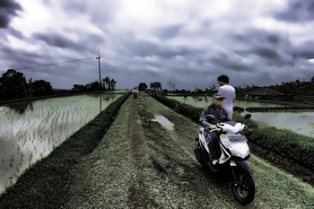 Непопулярное место / Рисовые плантации на Бали