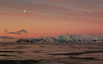 рыжая луна / Раннее утро на севере Охотского моря......вид с судна