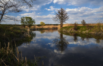 Тихое место / река Северский Донец. Весна 2019.