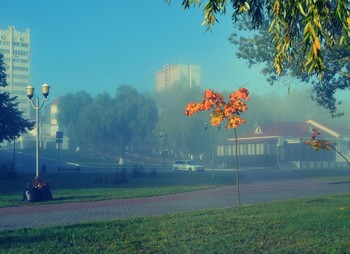 Утро нашего грода / Туман