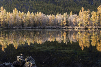 В долине лавовых озер. / Раннее солнечное утро после заморозка.