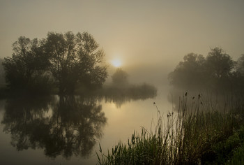 Утренний Айдар / туман,река