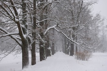 Зимняя прогулка... / Екатерининский парк
