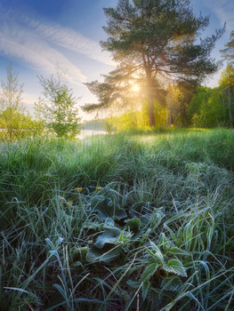 Майские заморозки / Холодное солнечное утро 25 мая. Трехрядная панорама с брекетингом и фокус-стекингом для переднего плана.