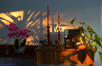 Свет прощальный дня уходящего... Время зажигать свечи... / Альбом «Натюрморты»:
http://fotokto.ru/id156888/photo?album=63913