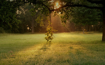 &nbsp; / В ПОТОКАХ СОЛНЕЧНОГО СВЕТА