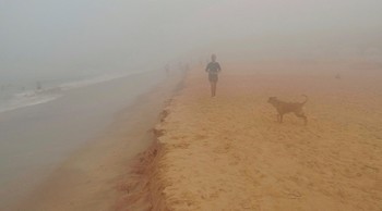 Утренний моцион в тумане по берегу моря / Утренний моцион в тумане по берегу моря