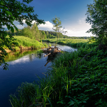 островок / ...