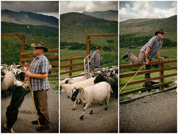 Где - то в Ирландии... / Когда я пасу свои стада,
Смотрю всегда я по сторонам.
И я стараюсь замечать всегда
Все то, что происходит там.