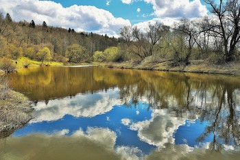 &quot;Безветрие. Как зеркало, вода ...&quot; / &quot;Безветрие. Как зеркало, вода.
 Ветла еще под вечер опустила
 листву в прохладу сонную пруда,
 стыдливо ноги стройные прикрыла.
 Стесняется? Кого? Кто может здесь
 нарушить чистоту уединенья?
 Покой. Безмолвно властвующий лес,
 как вечность, как мира отреченье ...&quot;
 В.Бордюков